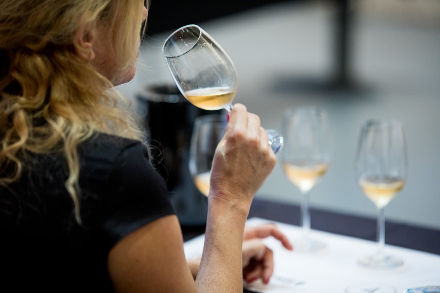 Curso Explorar os Principais Vinhos de Espanha