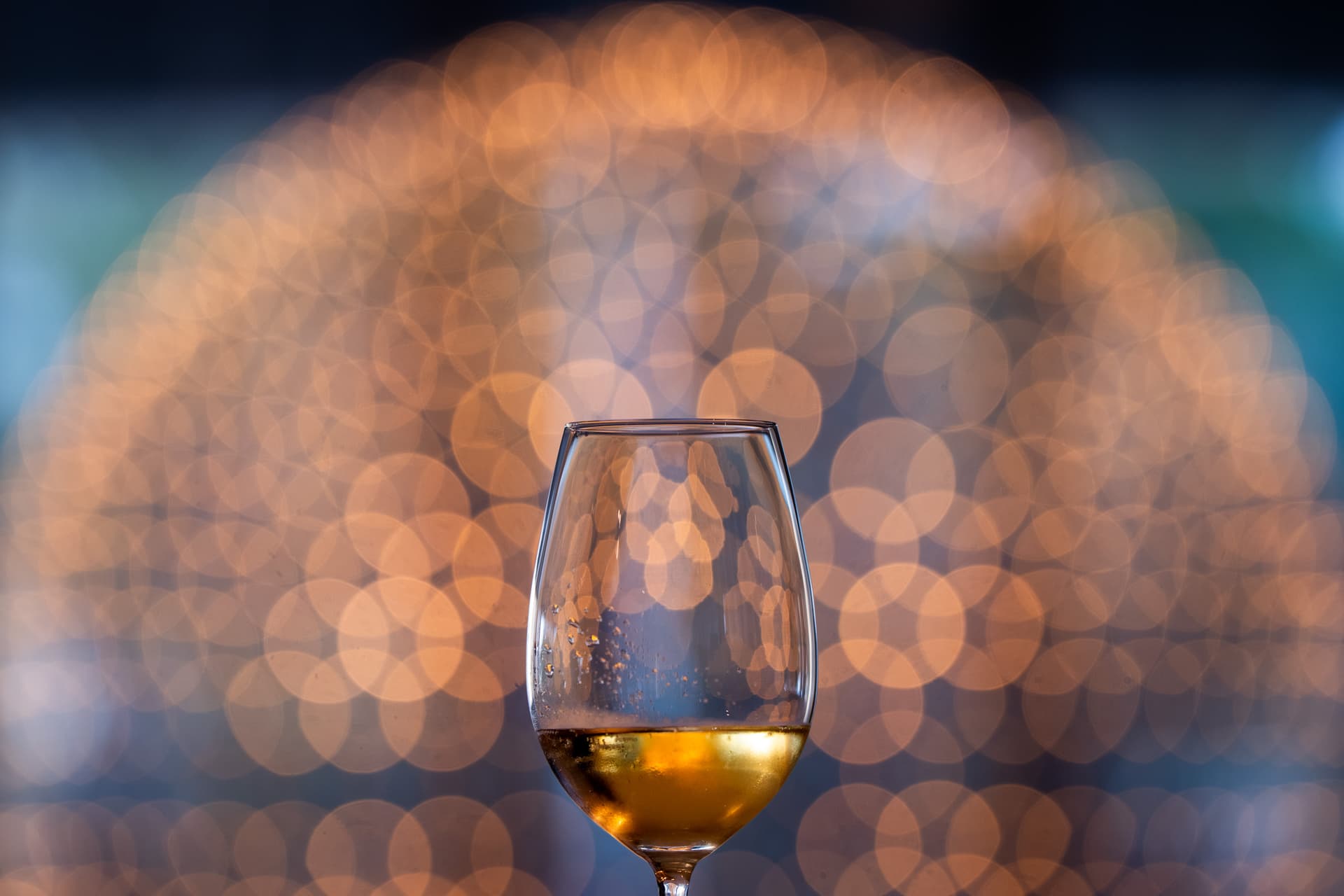 Enóphilo Wine Fest — Cascais
